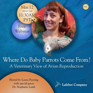 parrot reproduction webinar